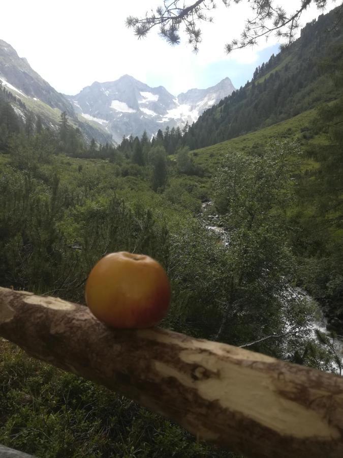 Waldrast Leilighet Finkenberg Eksteriør bilde